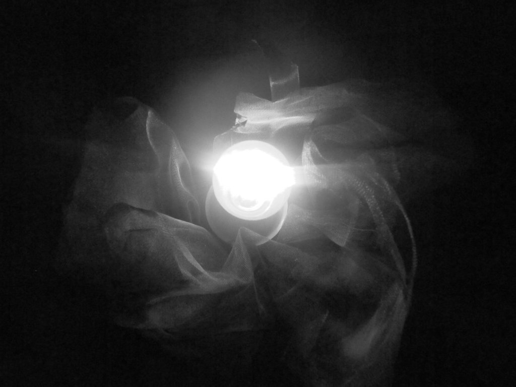 Darkness Has Forgotten