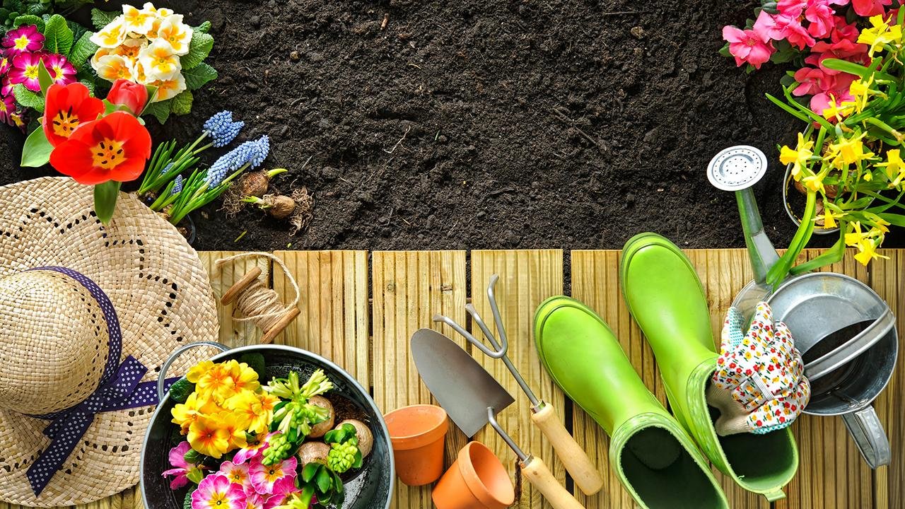 It’s Time to Redesign Your Garden!