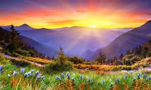 WALKING IN WHOLENESS