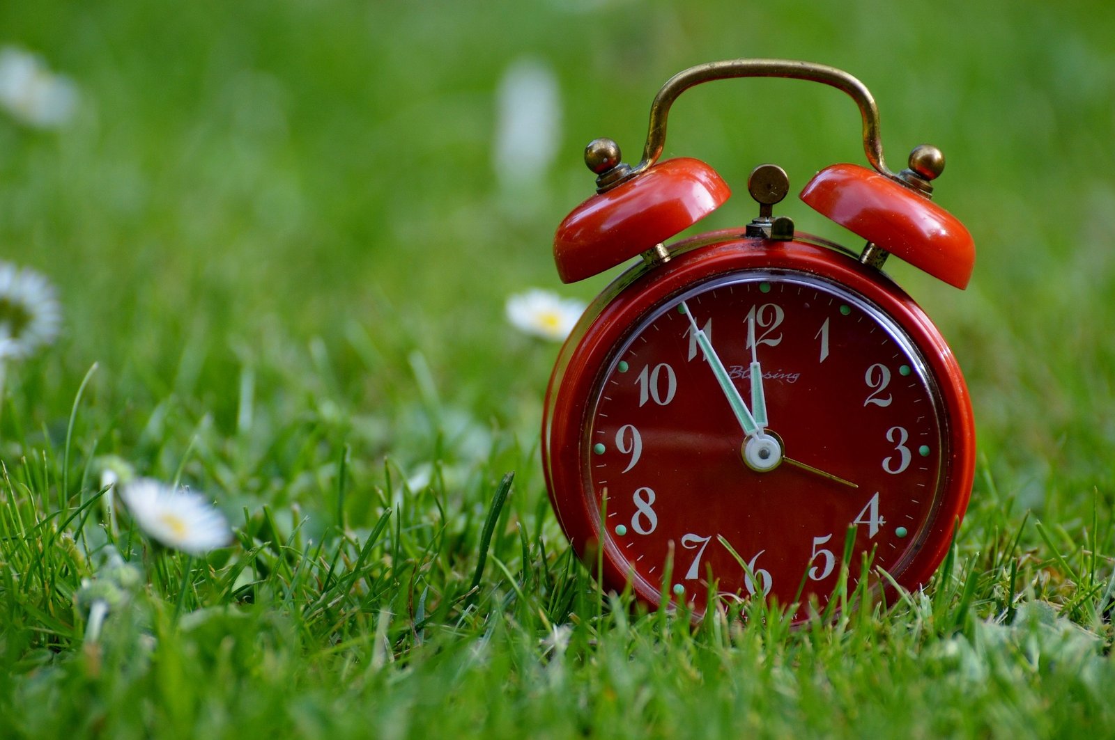 Trust in God’s Timing