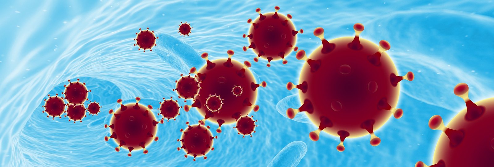 CORONAVIRUS PANDEMIC