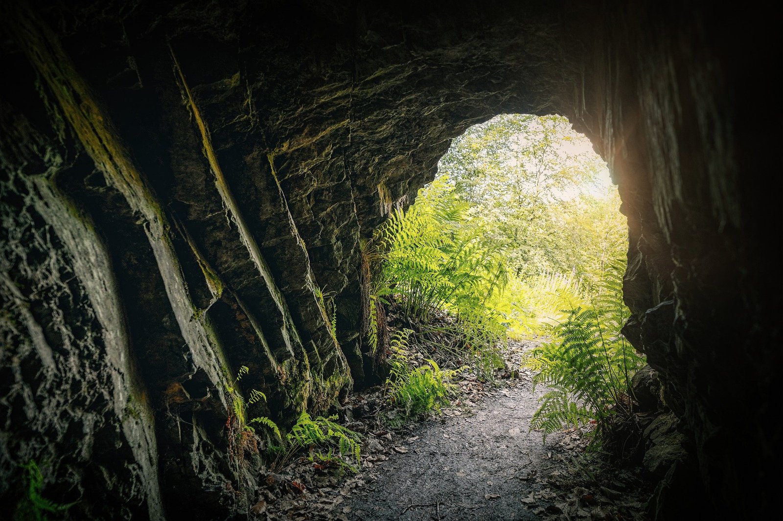 The War-Torn Road to Recovery