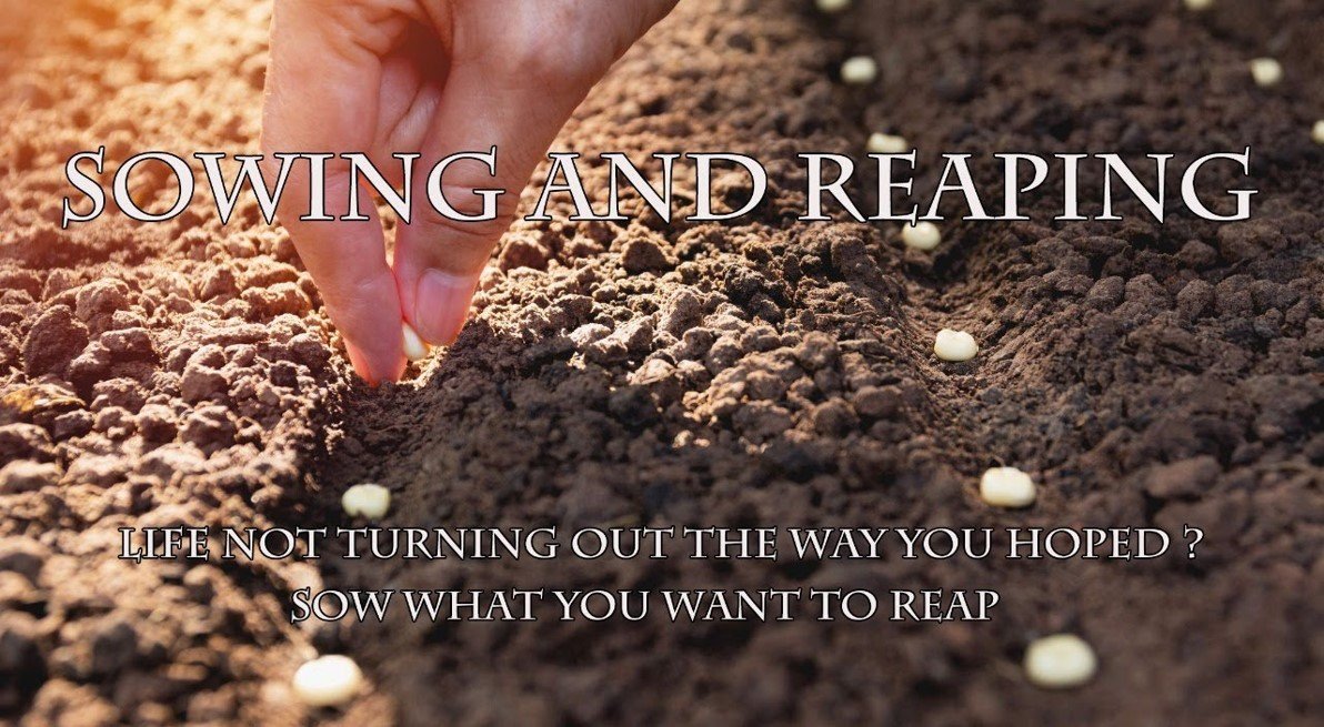 Continual Sowing Makes For a Continual Harvest