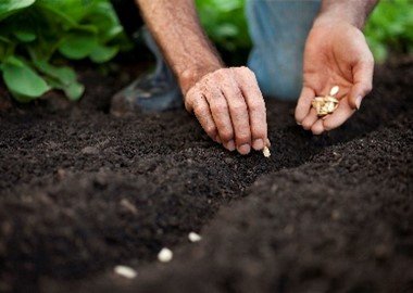 What are You Planting at Work?