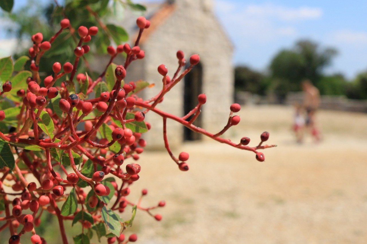The Challenges of Sowing Seeds in Your Ministry
